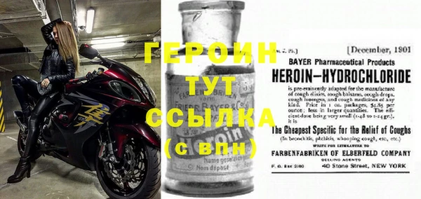 индика Новодвинск