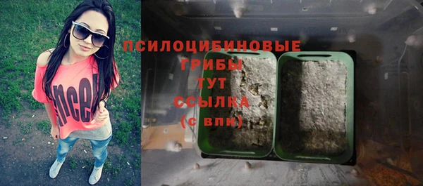 крисы Нефтекумск