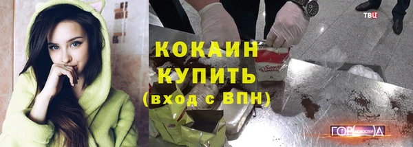 индика Новодвинск