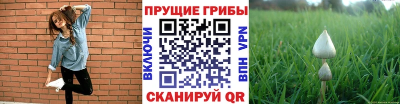 Псилоцибиновые грибы прущие грибы  Короча 